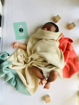 Knittery Barn Baby Blankets